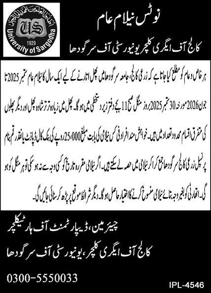University of Sargodha Tender Notice